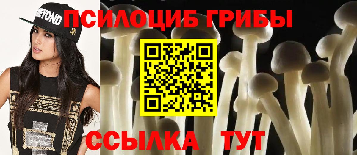 Галлюциногенные грибы Psilocybine cubensis  Псилоцибиновые грибы Psilocybine cubensis  Янаул  Вход с VPN 
